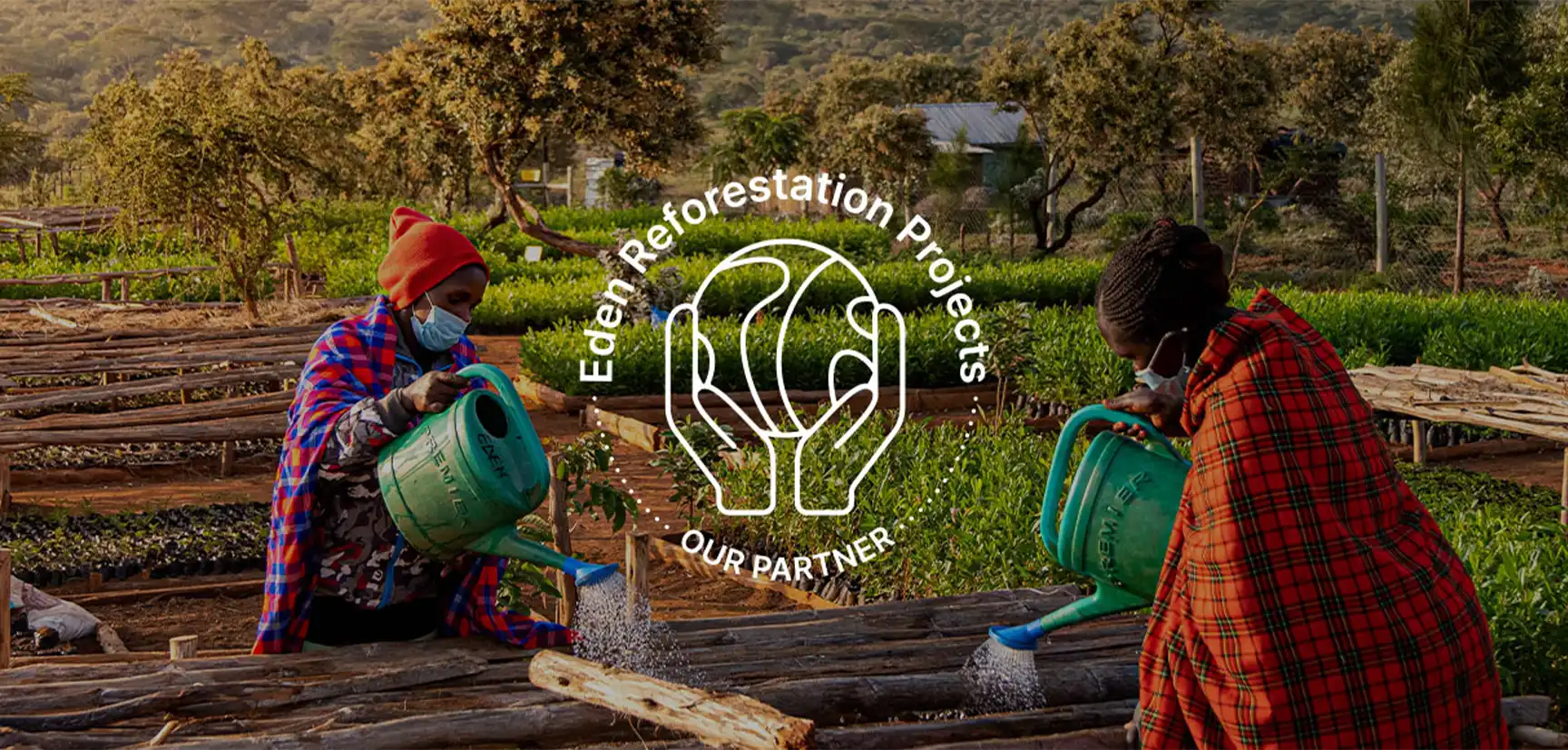 Eden Reforestation project site